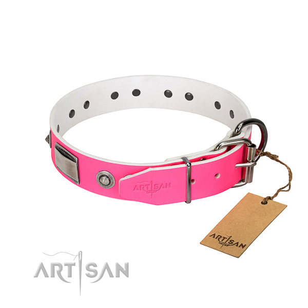 Designer dog collar of genuine leather with embellishments