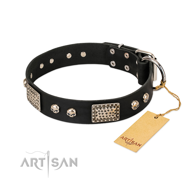 Adjustable full grain natural leather dog collar for basic training your doggie