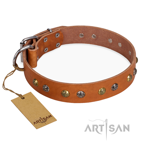 Everyday use easy adjustable dog collar with corrosion resistant D-ring