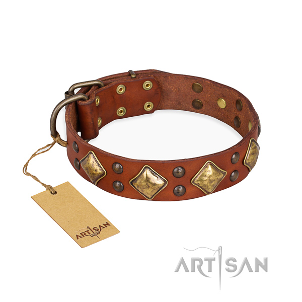 Everyday use easy adjustable dog collar with corrosion proof fittings