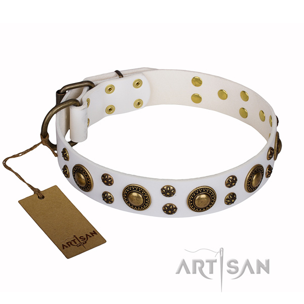 Easy wearing dog collar of best quality full grain natural leather with adornments