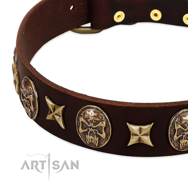 Rust-proof buckle on full grain genuine leather dog collar for your four-legged friend