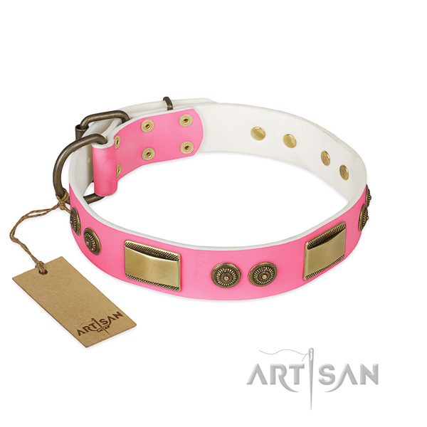 Inimitable genuine leather dog collar for walking