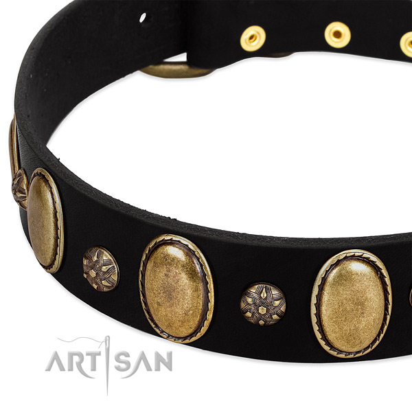 Stylish walking top notch genuine leather dog collar