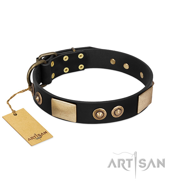 Easy adjustable full grain leather dog collar for stylish walking your four-legged friend