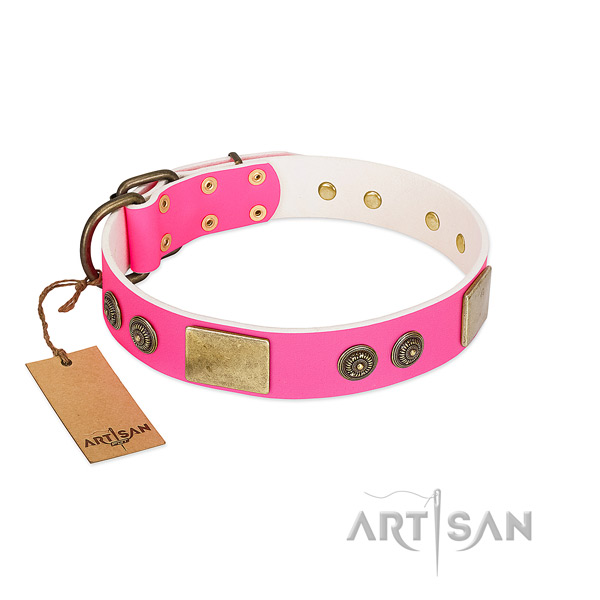 Fine quality natural genuine leather dog collar for walking