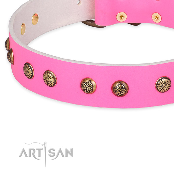 Full grain genuine leather collar with rust resistant buckle for your lovely four-legged friend