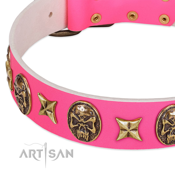 Full grain natural leather dog collar with stylish design studs