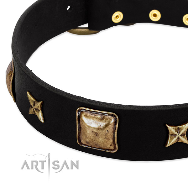 Full grain leather dog collar with extraordinary decorations