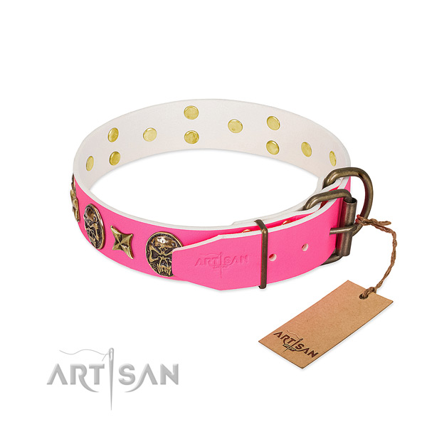 Reliable D-ring on genuine leather collar for everyday walking your dog