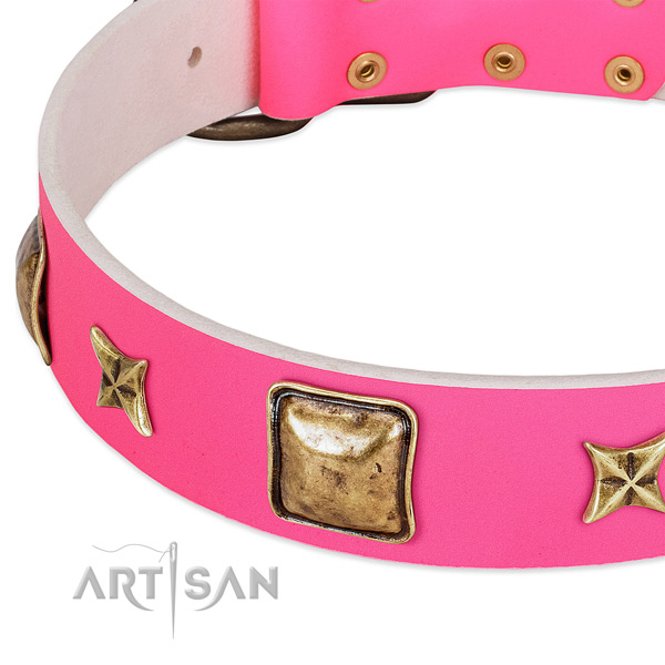 Full grain genuine leather dog collar with unusual embellishments