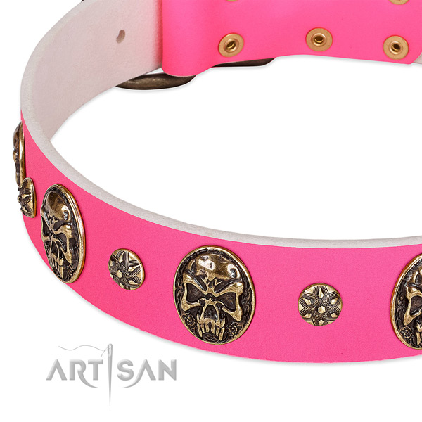 Fine quality dog collar crafted for your beautiful pet