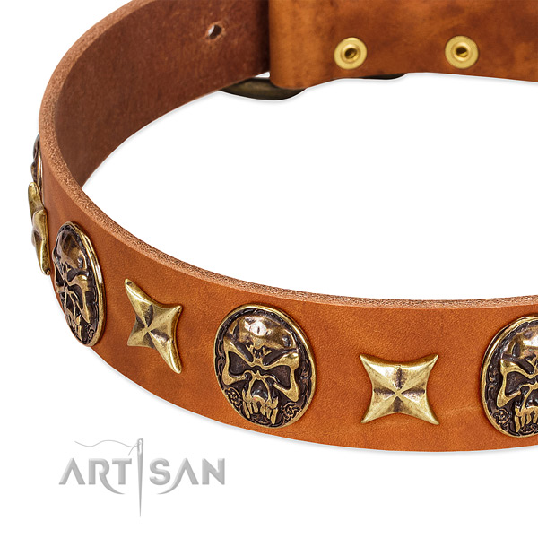 Rust resistant buckle on full grain leather dog collar for your doggie