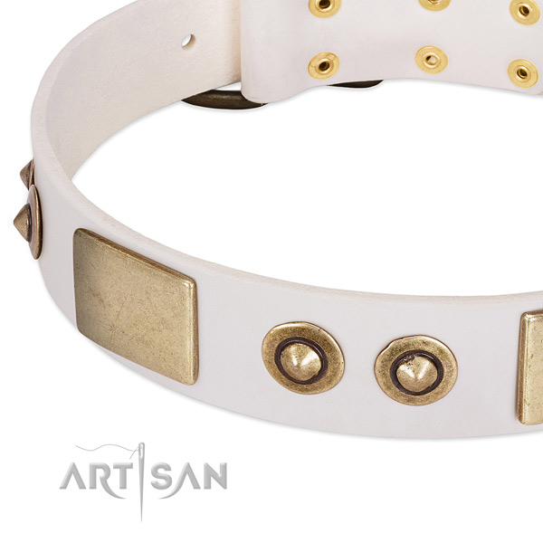 Strong buckle on leather dog collar for your dog