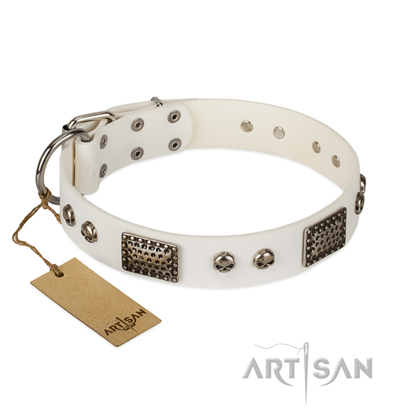 Easy wearing full grain leather dog collar for daily walking your four-legged friend