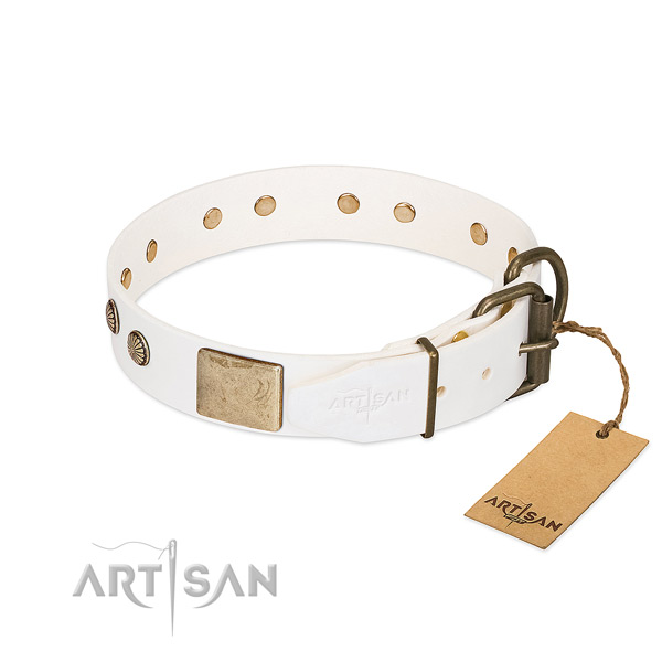 Strong fittings on handy use dog collar