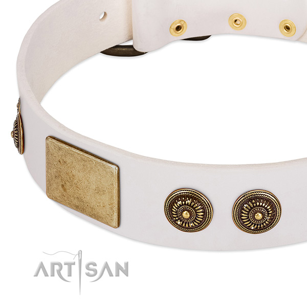 Adorned dog collar made for your stylish doggie