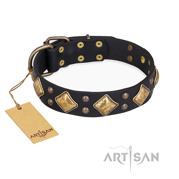 Walking incredible dog collar with reliable fittings
