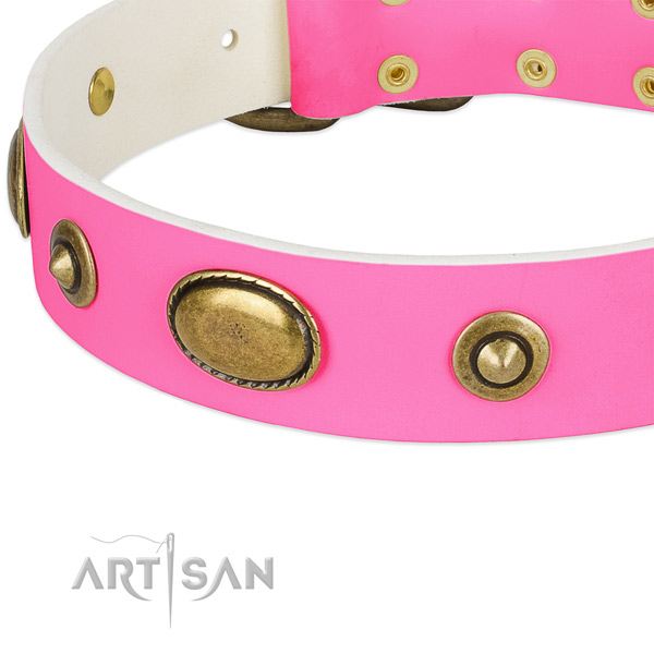 Corrosion resistant hardware on natural leather dog collar for your four-legged friend