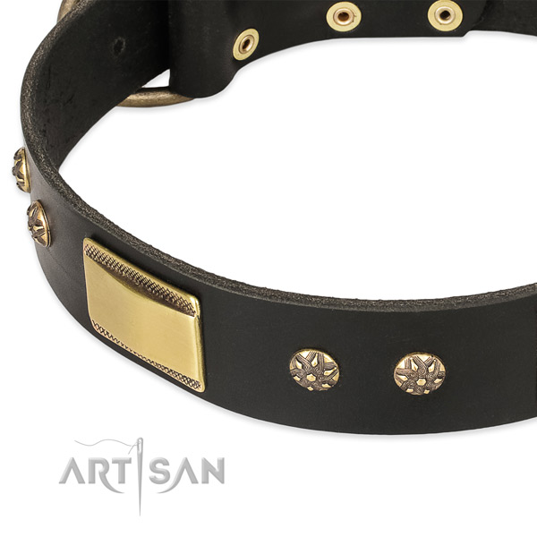 Corrosion proof decorations on full grain leather dog collar for your dog