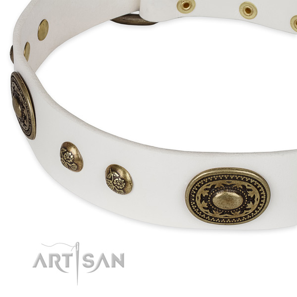 Stunning genuine leather collar for your handsome pet