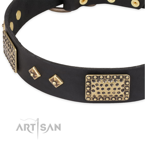 Corrosion proof traditional buckle on full grain natural leather dog collar for your dog