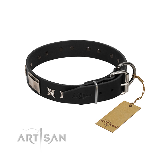Quality natural leather dog collar with reliable D-ring