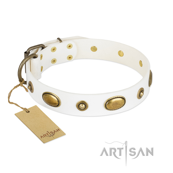 Significant full grain genuine leather collar for your pet