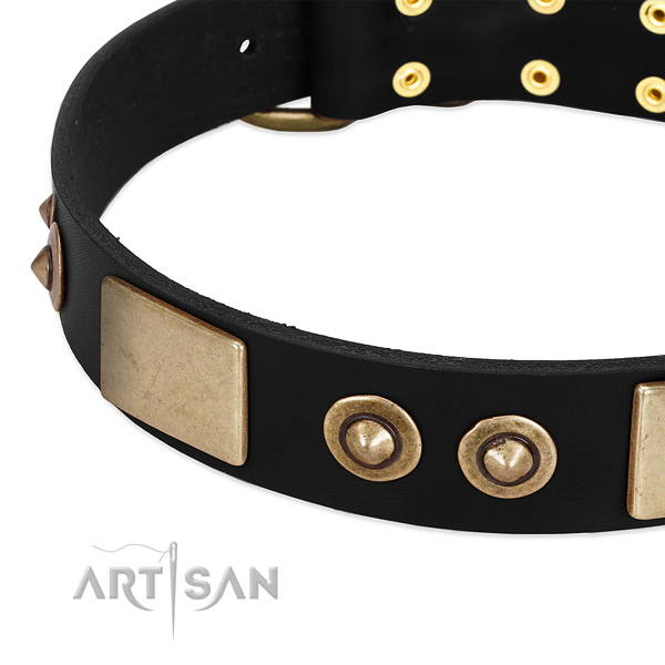 Strong traditional buckle on full grain leather dog collar for your pet