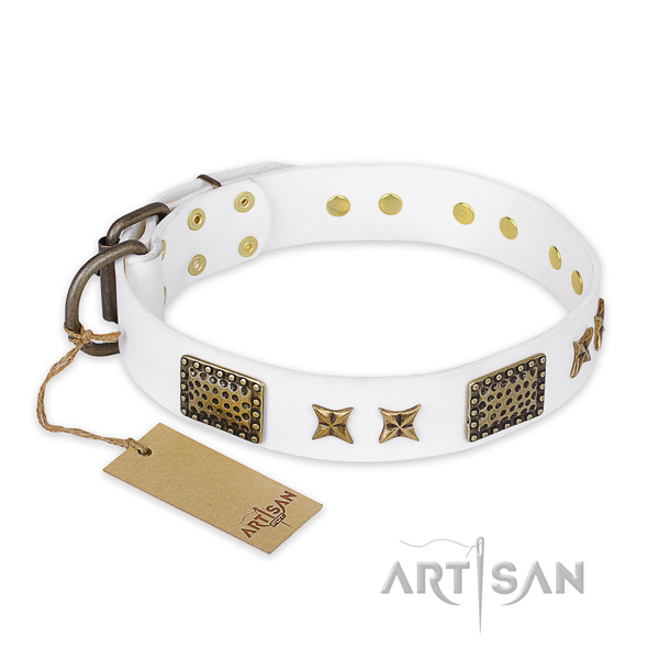 Designer full grain natural leather dog collar with reliable hardware