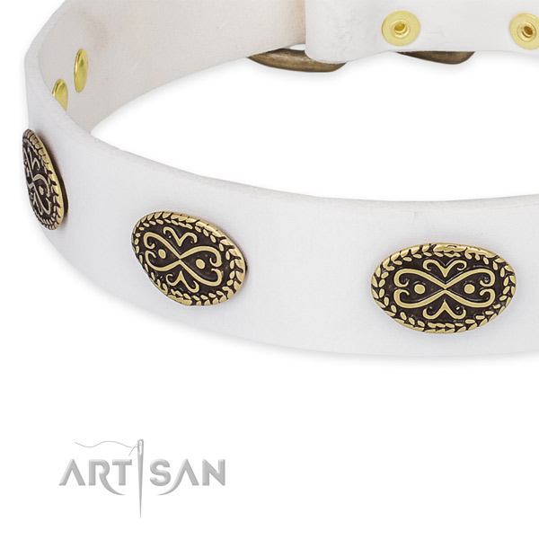 Remarkable leather collar for your stylish pet