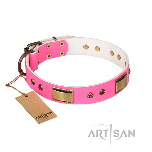 Stylish genuine leather collar for your dog