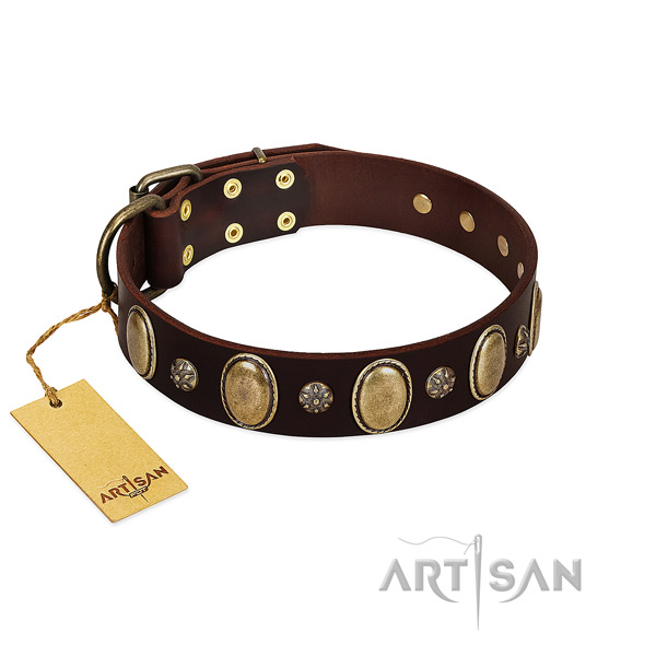 Stylish walking soft genuine leather dog collar with adornments