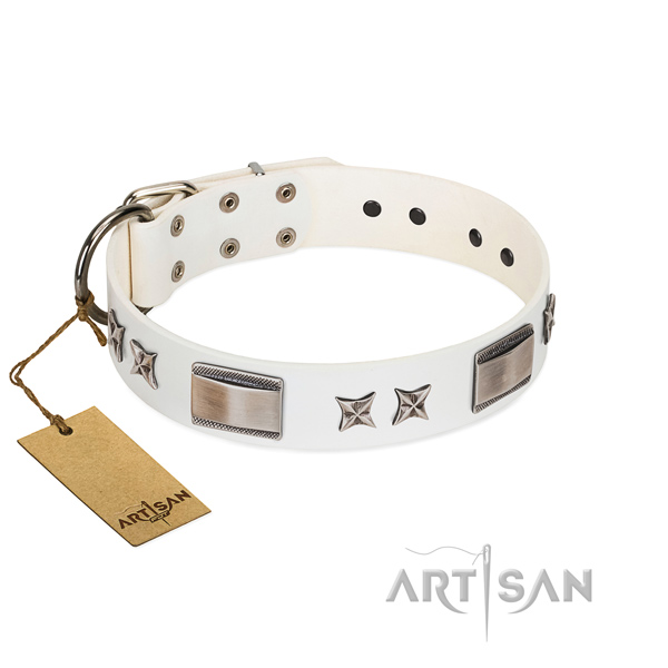 Convenient dog collar of natural leather
