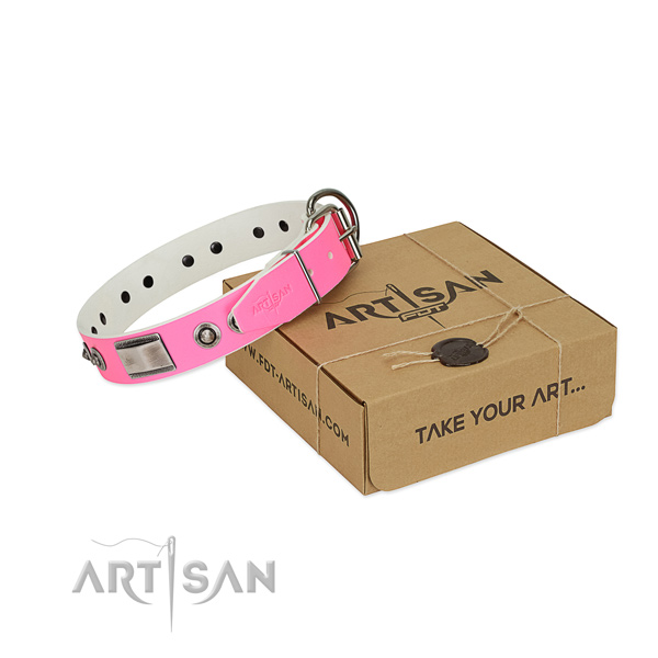 Fashionable dog collar of natural leather with studs