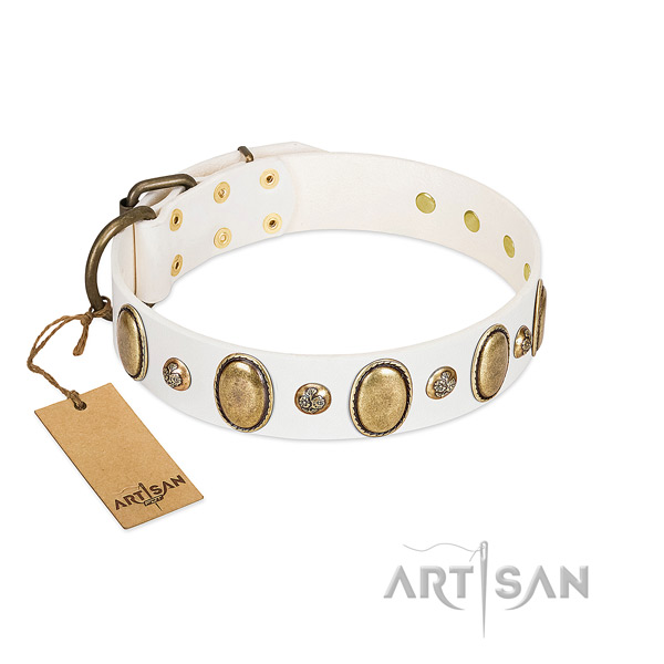 Genuine leather dog collar of best quality material with inimitable adornments