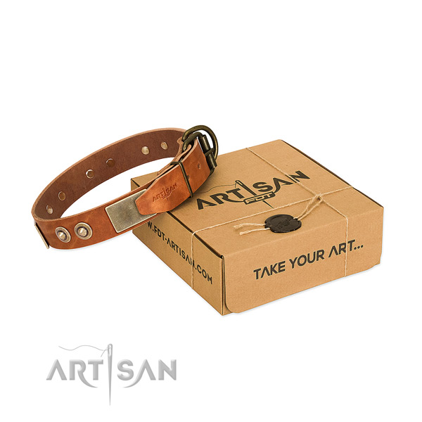 Corrosion resistant adornments on dog collar for handy use