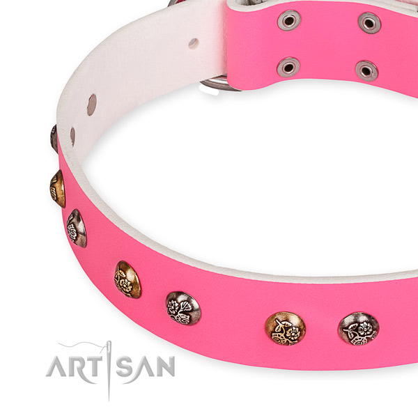 Natural leather dog collar with trendy rust-proof decorations