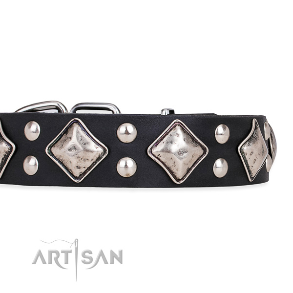 Natural leather dog collar with trendy rust-proof decorations