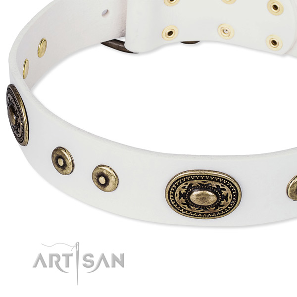 Full grain leather dog collar made of reliable material with embellishments