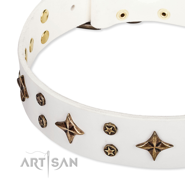 Everyday walking decorated dog collar of top notch genuine leather
