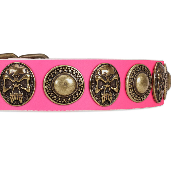 Rust-proof adornments on full grain genuine leather dog collar for your pet