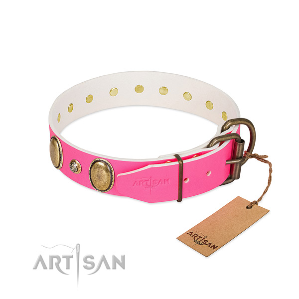 Everyday walking quality full grain leather dog collar