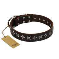 "Stars of Glory" FDT Artisan Brown Leather Mastiff Collar for Comfortable Walking