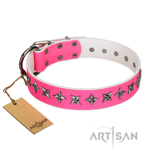 Durable full grain leather dog collar with awesome studs