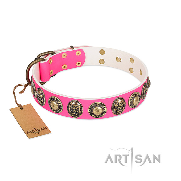 Easy wearing leather dog collar for walking your dog