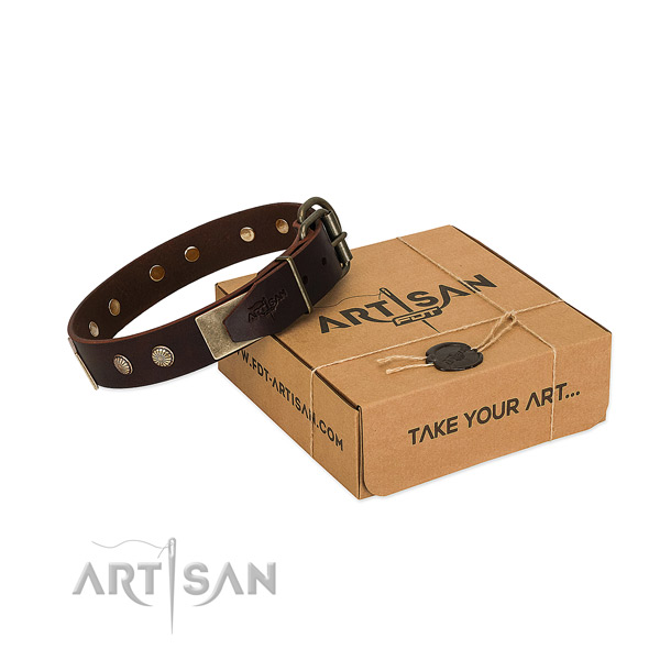 Corrosion resistant D-ring on dog collar for daily walking