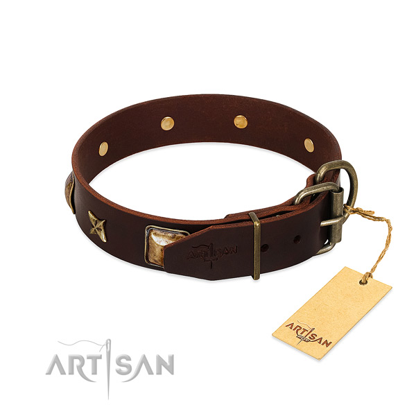 Leather dog collar with corrosion resistant fittings and decorations