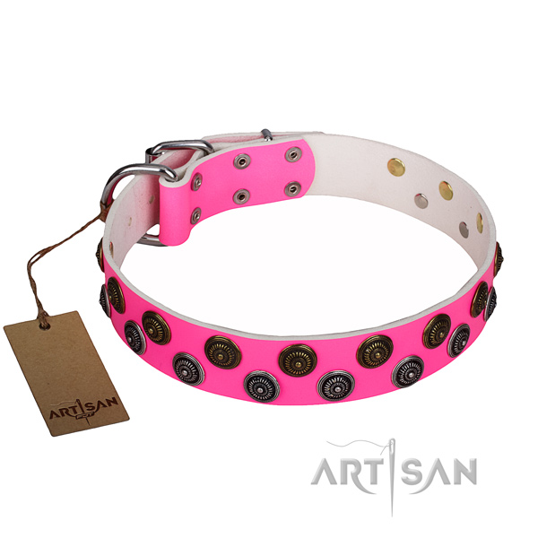 Easy wearing dog collar of durable full grain natural leather with embellishments