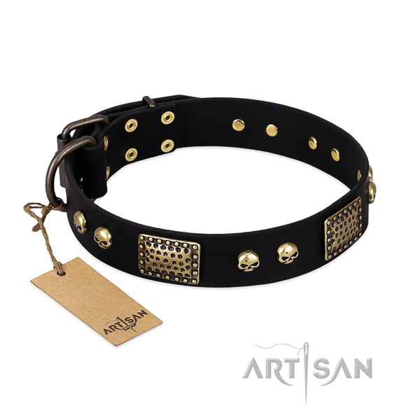 Adjustable full grain leather dog collar for walking your doggie